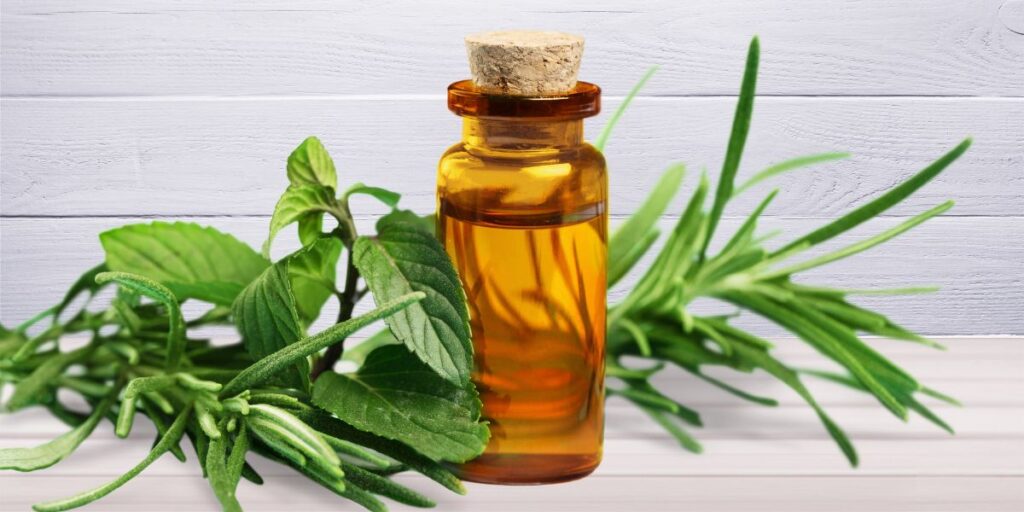 The Benefits of Using Essential Oils in Your Bath and Body Routine